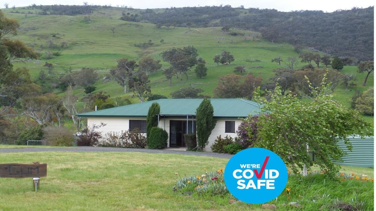 Elm Cottage Tumut Extérieur photo