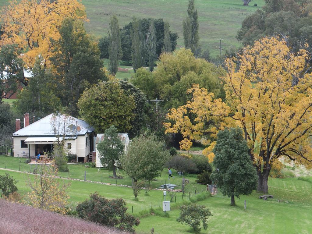Elm Cottage Tumut Extérieur photo