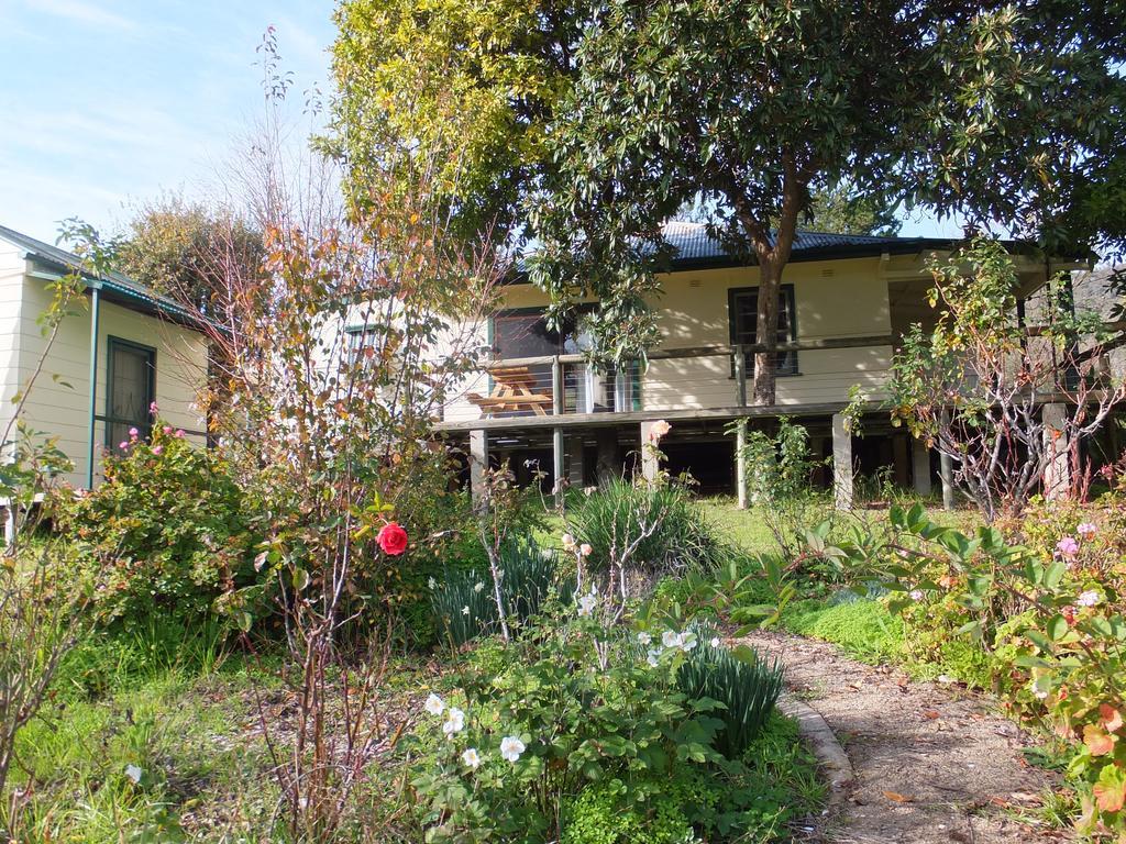 Elm Cottage Tumut Extérieur photo