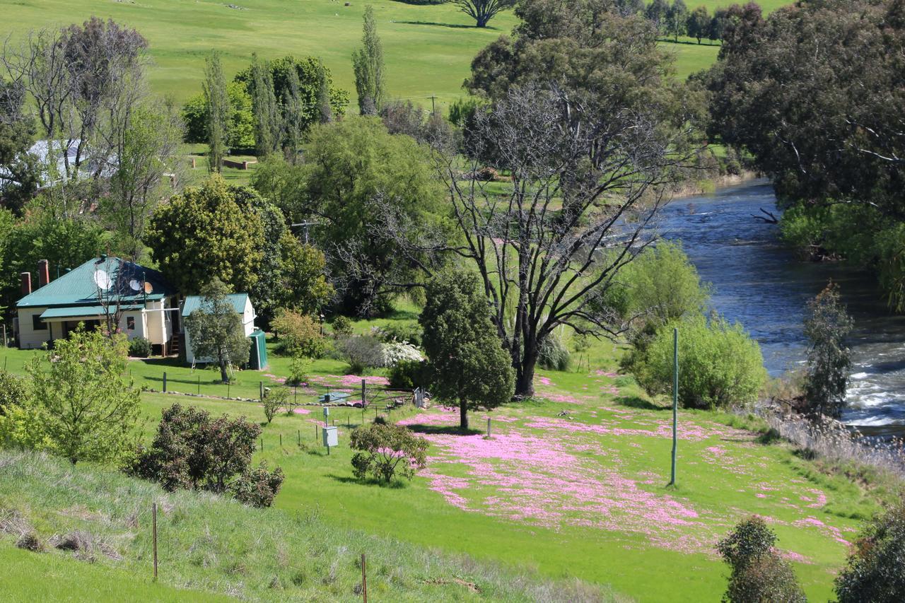 Elm Cottage Tumut Extérieur photo